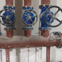 جوشکار نیمه وارد جوان