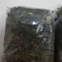 گیاهان دارویی