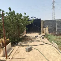 فروش زمین ۲۵۰ متری