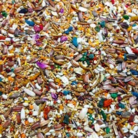 گندم کبوترمرغ ارزن شیرازعروس طوطی کوتوله گرینچیک
