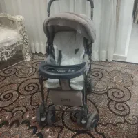 کالسکه دلیجان طوسی.همراه با روروئک