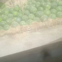 اسینم.بوخم.دوه‌بنزینم‌اوه‌.زنگم‌بو‌بن