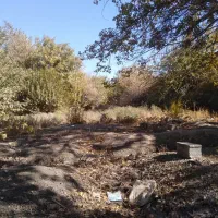 زمین ۲۷۶متری معاوضه هم دارم|فروش زمین و ملک کلنگی|قدس, شهرک دانش|دیوار