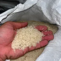 برنج فجر سوزنی