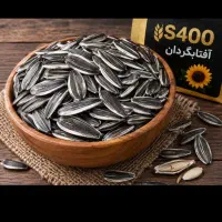 تخمه آفتاب گردان