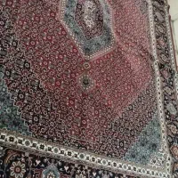 فرش|فرش|تهران, شکوفه (عبدل آباد)|دیوار