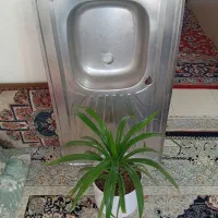 سینک ظرفشویی به همراه گل