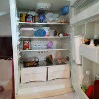 یخچال  هیمالیا فرش ۱۲ متری مبل|یخچال و فریزر|مشهد, الهیه|دیوار