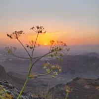 زمین-جنوبی-شهرک-سیمرغ