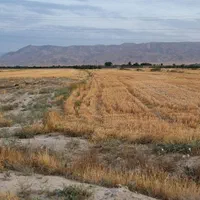 زمین معاوضه صنعتی/گلخانه/حاشیه کمربندی وجاده اخلمد