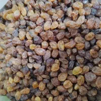 کشمش بی دانه تاکستان درجه یک|خوردنی و آشامیدنی|فولادشهر, مسکن مهر فولادشهر|دیوار