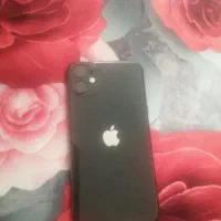 Apple 11