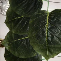 برگ|گل مصنوعی|تبریز, |دیوار