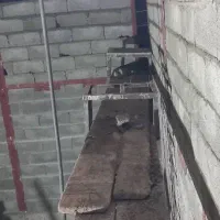 استا بنا هستم با سابقه کاری 15 سال