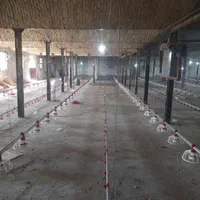 نصب تجهیزات مرغداری و گلخونه و خرید اجناس دست دو|ماشینآلات صنعتی|بستان آباد, |دیوار