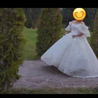 لباس عروس|لباس|شوشتر, |دیوار