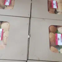 ساندویچ|خوردنی و آشامیدنی|تهران, مشیریه|دیوار