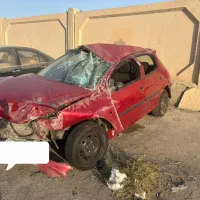 ۲۰۶ تصادفی مدل ۸۱