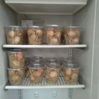 تخم مرغ گلپایگان