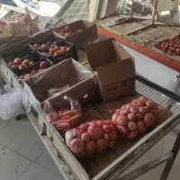 یخچال با تمام وسایل ترازو دکور|فروشگاه و مغازه|یاسوج, |دیوار