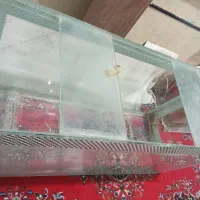 آکواریوم کاملا سالم