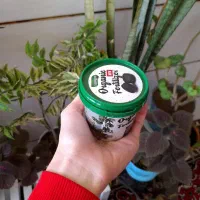 با یه قرص ، گیاهت جون میگیره