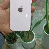 ایفون 13 نرمال و پرومکس 512|موبایل|شوش, |دیوار