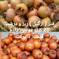 وسایل ارگانیک محلی