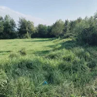 زمین باغی بازکیاگوراب ایشکا|فروش زمین و ملک کلنگی|لاهیجان, بازکیاگوراب|دیوار