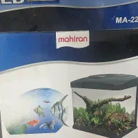اکواریوم