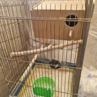قفس ۱۰۳۳ با لوازم و لونه|لوازم جانبی حیوانات|تهران, افسریه شمالی|دیوار