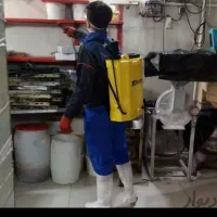 سمپاشی حشرات سوسک ساس مورچه بیدبا کیفیت صد٪ تضمینی