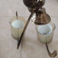 لوستردوشاخه