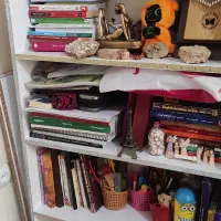 کتابخانه،قفسه اسباب بازی|کتابخانه، شلف، قفسههای دیواری|تبریز, |دیوار