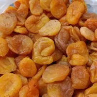 برگه رزوالو
