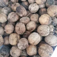 گردو دستجرد با پوست