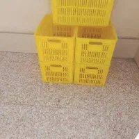 سبد|ظروف نگهدارنده، پلاستیکی، یک‌بارمصرف|پاکدشت, پاکدشت (مامازند)|دیوار