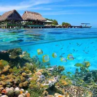 کیش از اصفهان