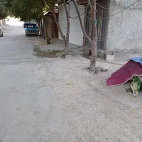 زمین-100متری-قابل-ساخت