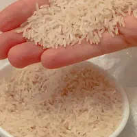 برنج ایرانی|عمدهفروشی|شاهینشهر, شهرک سایت|دیوار