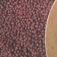 عناب درشت