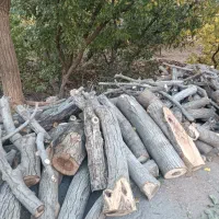 چوب|خدمات باغبانی و درختکاری|پاوه, |دیوار