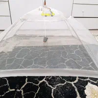 پشه بند چتری بچه