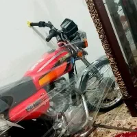 رهرو 403درحد خشک