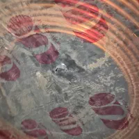 گاز ایسکون ۲۲ به همراه لوله پنج هشت و سه هشت|کولر گازی و فن‌کوئل|تهران, پونک|دیوار
