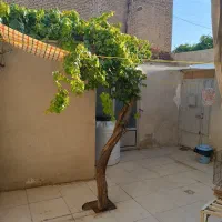 اجاره خانه ویلایی دربست|اجارهٔ خانه و ویلا|اصفهان, نصرآباد|دیوار