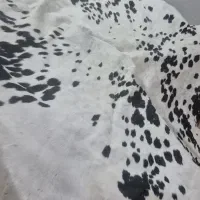 فروش پوست گاو دباغی شده