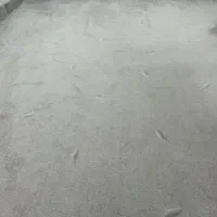 پالازموکت طوسی|موکت|ورامین, ورامین|دیوار