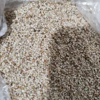 کنجد درجه یک|خوردنی و آشامیدنی|خان ببین, |دیوار