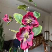 گل مصنوعی خارجی نو